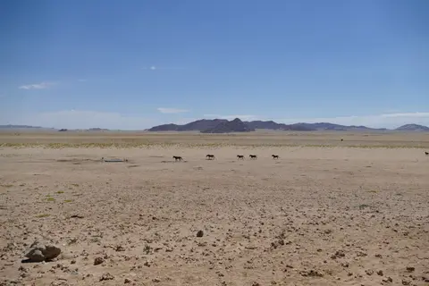 Namibia2018_1279.JPG
