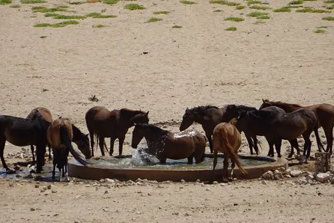 Namibia2018_1285.JPG