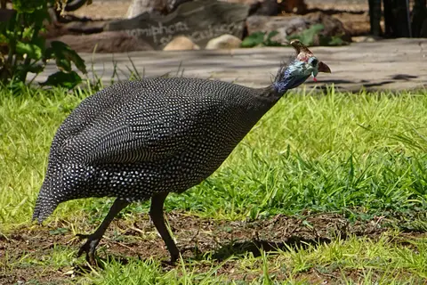 Namibia2018_1493.JPG