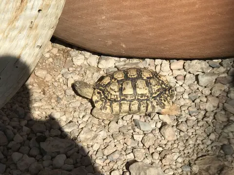 Namibia2018_1704.JPG