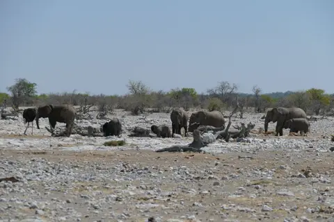Namibia2018_1725.JPG