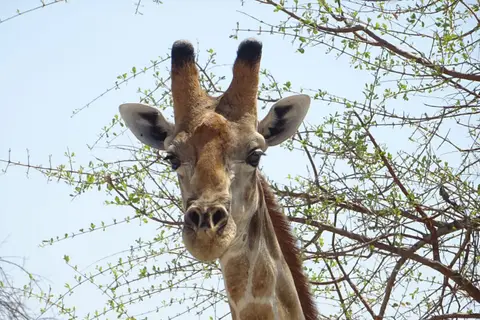 Namibia2018_1734.2.JPG