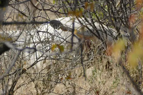 Namibia2018_1737.JPG