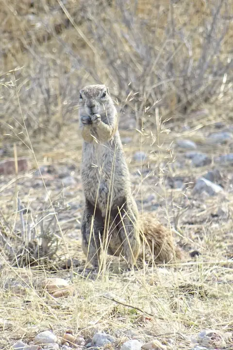 Namibia2018_1744.JPG