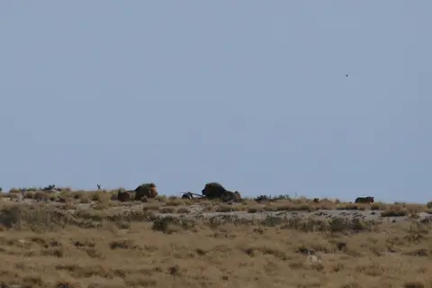 Namibia2018_1792.JPG