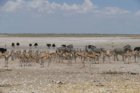 Namibia2018_1832.JPG
