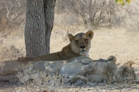 Namibia2018_1849.JPG