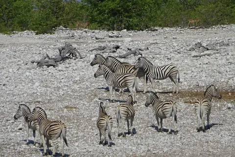 Namibia2018_1863.JPG
