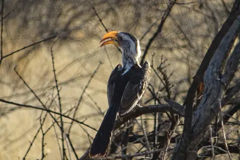 Namibia2018_1885.JPG