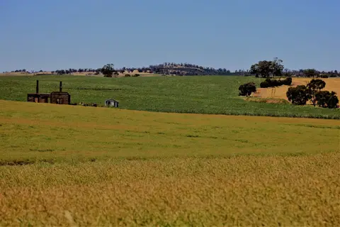 315.JPG