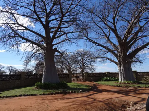 DSC06917.JPG