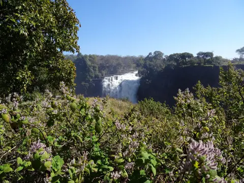 DSC07009.JPG