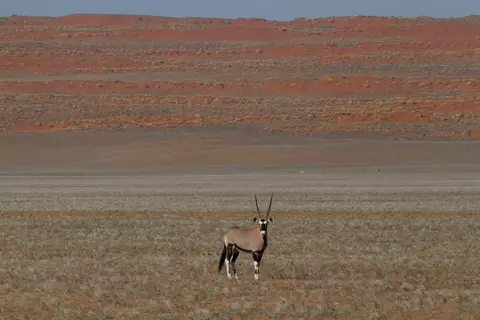 _MG_6251.jpg
