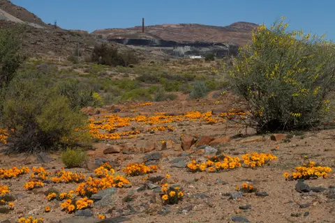 _MG_8727.jpg