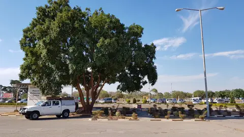 20181027_154433.jpg