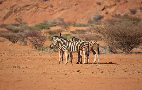 Namibia_Spitzkoppe_174.jpg