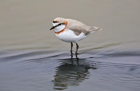Namibia_WalvisBay_048.jpg
