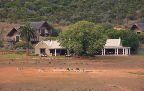 Südafrika_AddoElephantNP_107.jpg