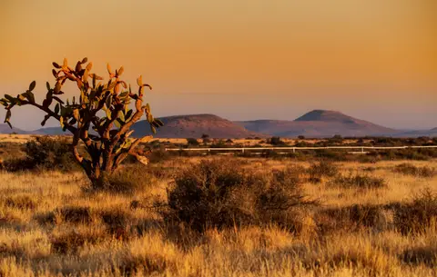 Südafrika_Britstown_SweetfonteinFarm_13.jpg