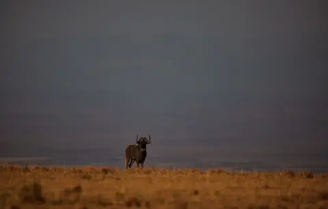 Südafrika_GraaffReinet_MtCamdeboo_085.jpg