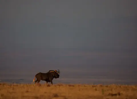 Südafrika_GraaffReinet_MtCamdeboo_086.jpg
