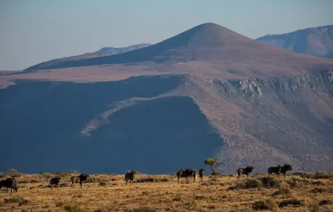 Südafrika_GraaffReinet_MtCamdeboo_097.jpg