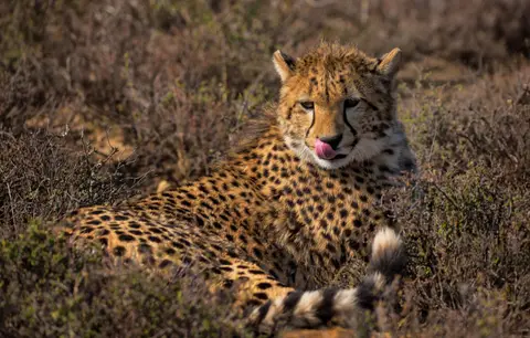 Südafrika_GraaffReinet_MtCamdeboo_129.jpg