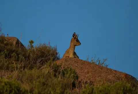 Südafrika_GraaffReinet_MtCamdeboo_142.jpg