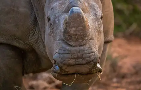 Südafrika_GraaffReinet_MtCamdeboo_153.jpg