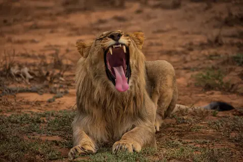 Südafrika_GraaffReinet_MtCamdeboo_171.jpg