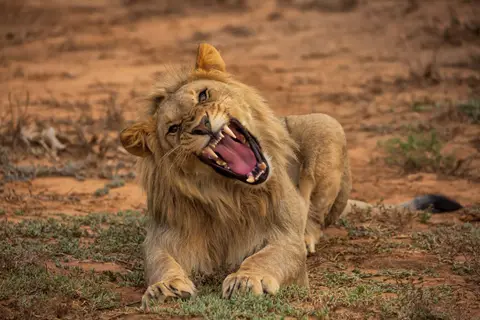 Südafrika_GraaffReinet_MtCamdeboo_172.jpg