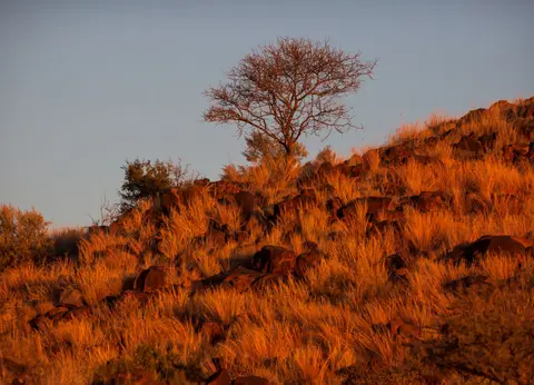 Südafrika_MokalaNP_202.jpg