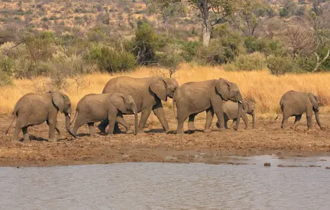 Südafrika_PilanesbergNP_033.jpg