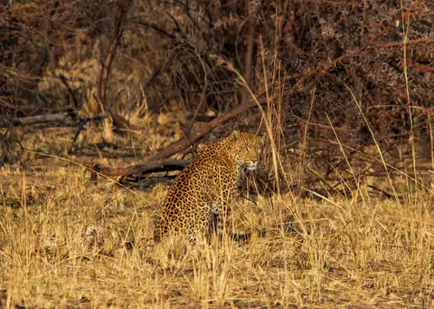 Südafrika_PilanesbergNP_156.jpg