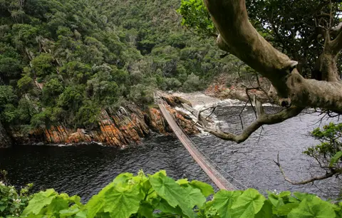 Südafrika_TsitsikamaNP_031.jpg