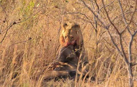 Südafrika_Waterberg_EntabeniLodge_020.jpg