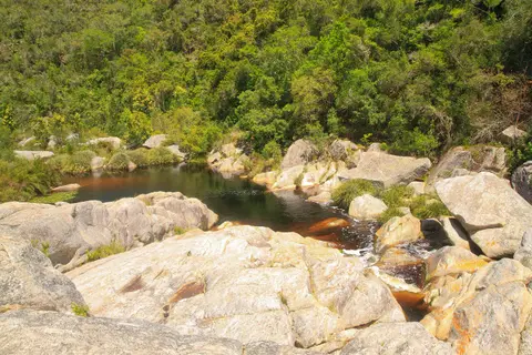 Südafrika_WildernesNP_010.jpg
