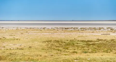 Namibia_Etosha_2102.jpg