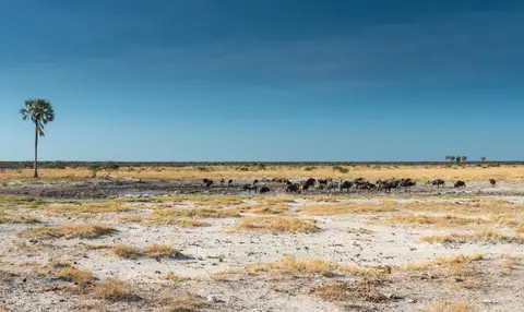 Namibia_Etosha_2846.jpg
