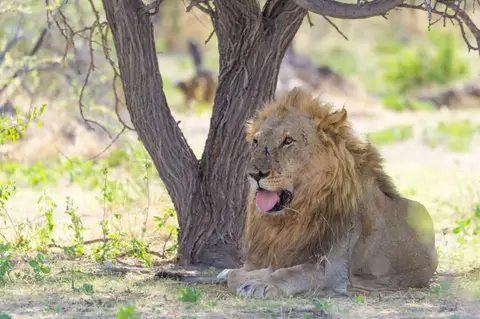 Namibia_Etosha_3326.jpg
