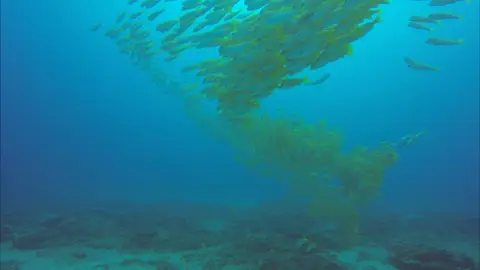 Test1_1.7.1.jpg