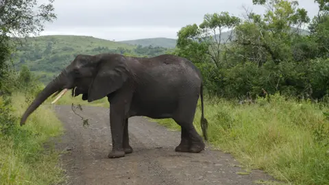 _1150632.JPG