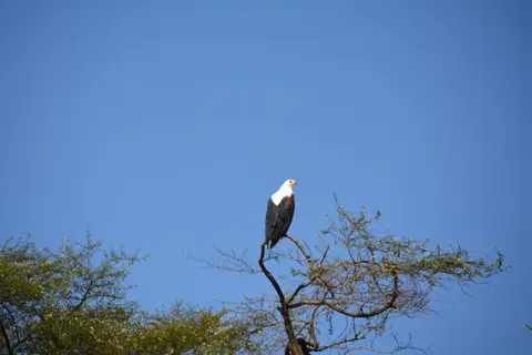 DSC_2165.JPG