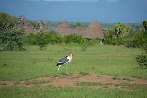 DSC_2326.JPG
