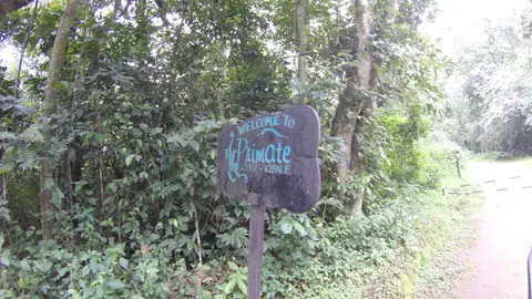 G0260249.JPG