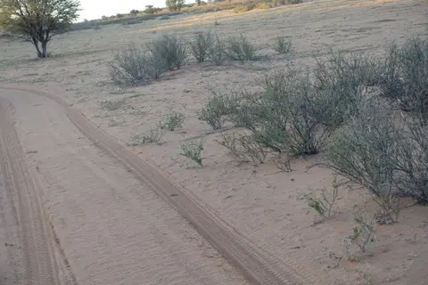 20190217_191138Namibia00336-2.JPG