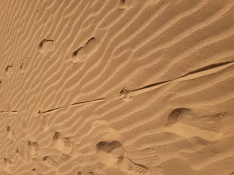 20230317_095011.jpg