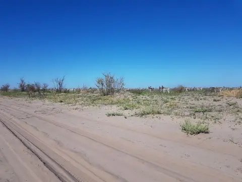 20221109_081138.jpg