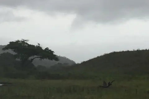 33-IMG_4405.JPG