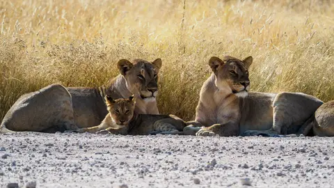 20220517_Namibia_Eric_EM1M2_0049.jpg